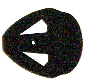 CLEANSTAR – EXHAUST FILTER FOR T1