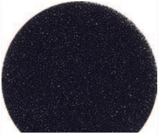 CLEANSTAR- EXHAUST FILTER HIPSTAR VACUUM CLEANER(VHIPSTAR)