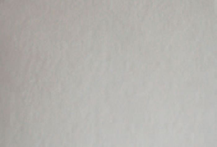 CLEANSTAR - UNIVERSAL VACUUM CLEANER ROUGH HEAVY INLET FILTER