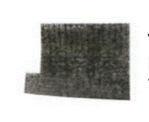 CLEANSTAR – PRE –MOTOR FILTER