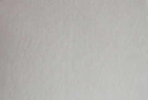 [FILTIUNI] CLEANSTAR - UNIVERSAL VACUUM CLEANER ROUGH HEAVY INLET FILTER